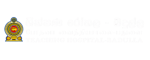 Untitled design (8)